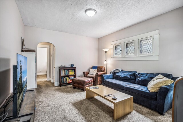 living room featuring a textured ceiling and carpet floors