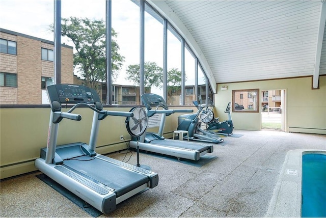 gym featuring a wealth of natural light and vaulted ceiling