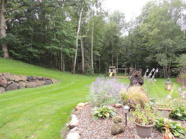 20578 317th St, Farming Twp, MN 56310 - view of yard
