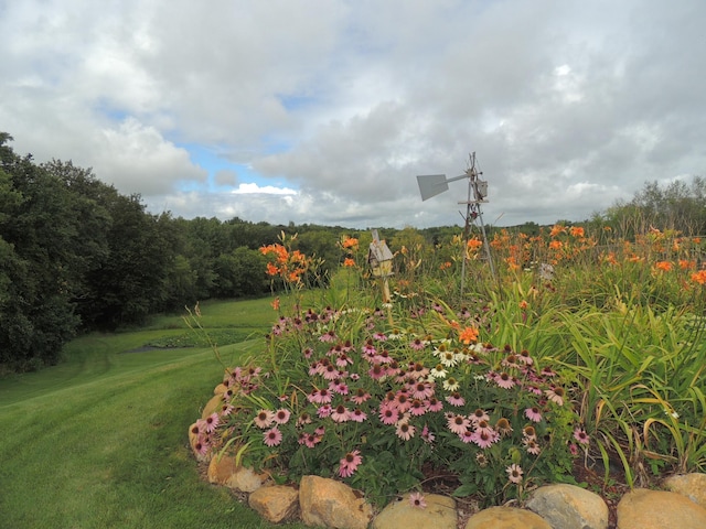 20578 317th St, Farming Twp, MN 56310 - view of yard