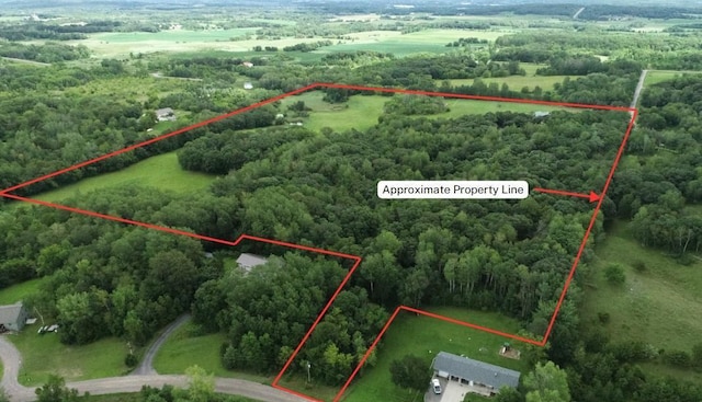 20578 317th St, Farming Twp, MN 56310 - bird's eye view with a wooded view and a rural view
