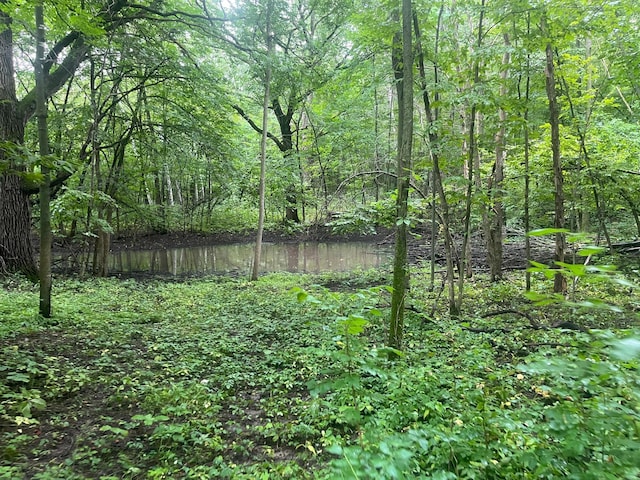 20578 317th St, Farming Twp, MN 56310 - view of yard with a forest view