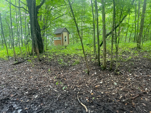 view of yard featuring a storage unit