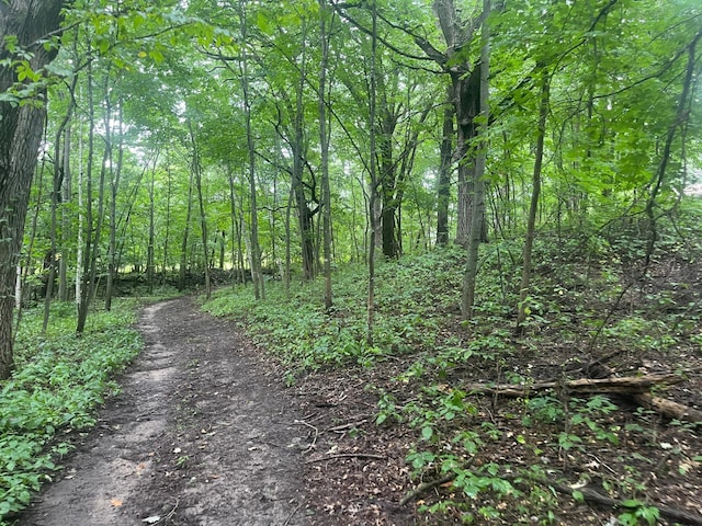 20578 317th St, Farming Twp, MN 56310 - view of landscape featuring a view of trees