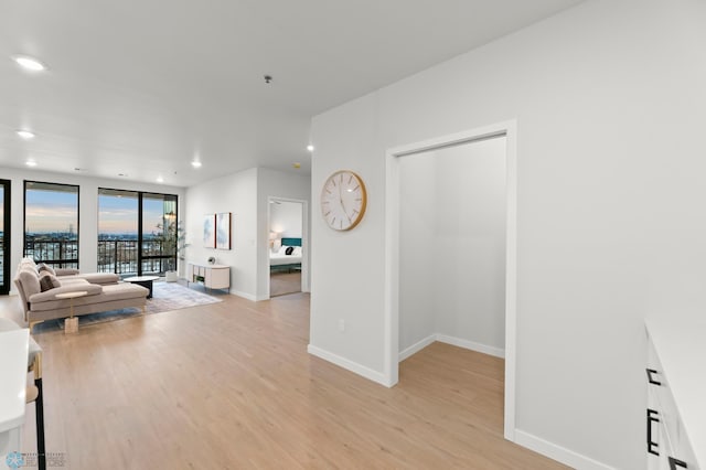 living room with light hardwood / wood-style flooring