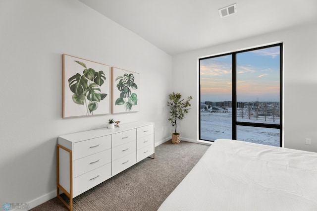 bedroom with carpet flooring and access to outside