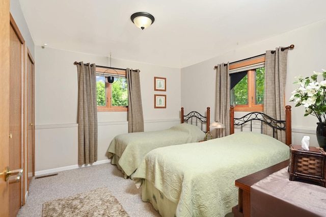 bedroom with carpet flooring, a closet, and multiple windows