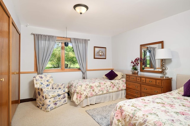 bedroom featuring carpet flooring and a closet