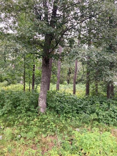 LOT39 Owl Cir, Breezy Point MN, 56472 land for sale