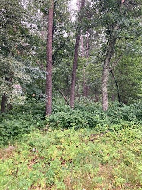 Listing photo 2 for LOT39 Owl Cir, Breezy Point MN 56472