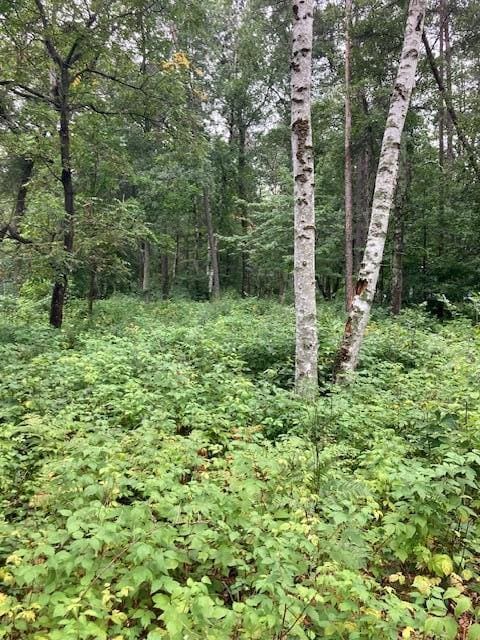 Listing photo 3 for LOT39 Owl Cir, Breezy Point MN 56472