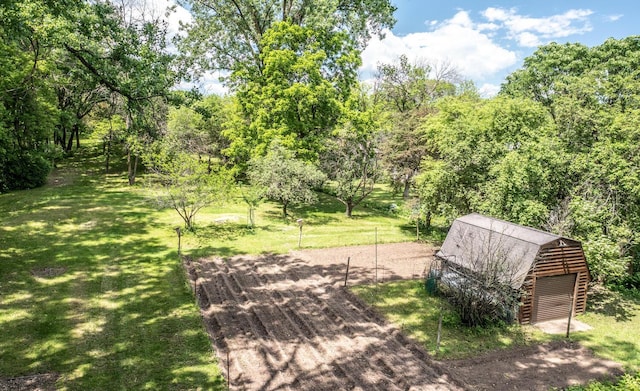 view of yard with an outbuilding