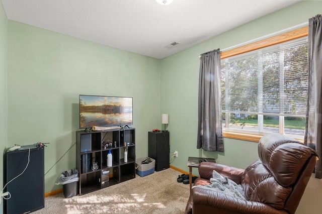 6389 207th St N, Forest Lake, MN 55025 - photo 29