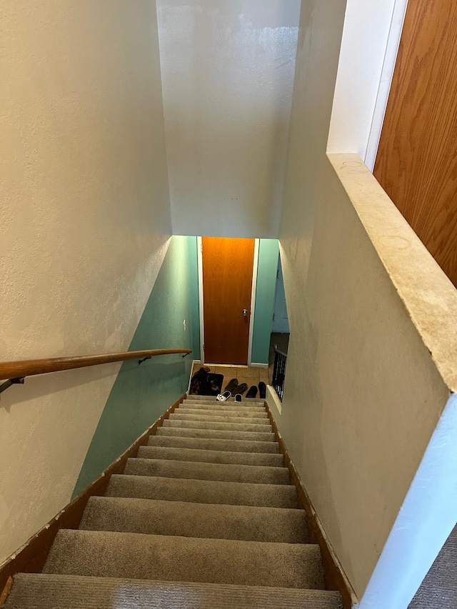 staircase featuring carpet floors