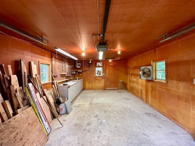 basement with wooden walls