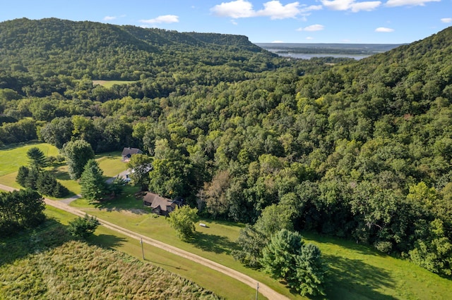 birds eye view of property featuring a mountain view