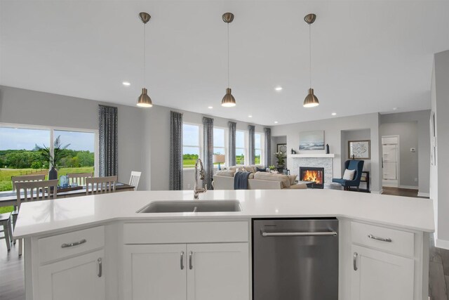 kitchen with sink, dishwasher, wood-type flooring, and hanging light fixtures