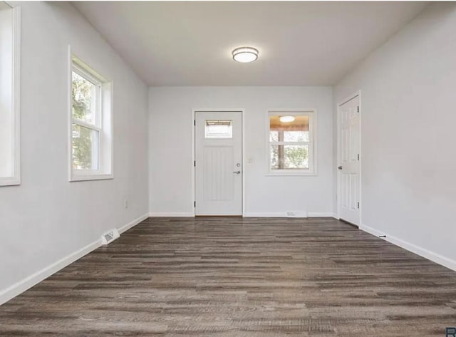 foyer with dark hardwood / wood-style flooring and a healthy amount of sunlight