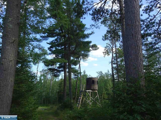 view of local wilderness