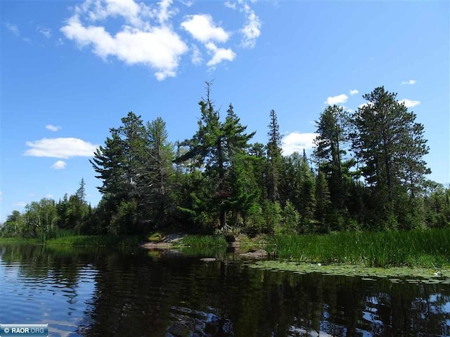 6701 Koski Rd, Tower, MN 55790 - water view featuring a forest
