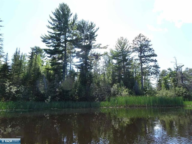 6701 Koski Rd, Tower, MN 55790 - water view