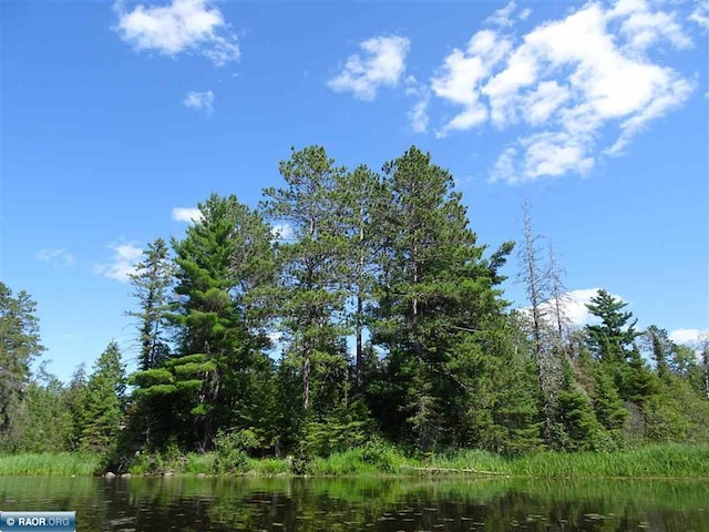 view of local wilderness with a water view