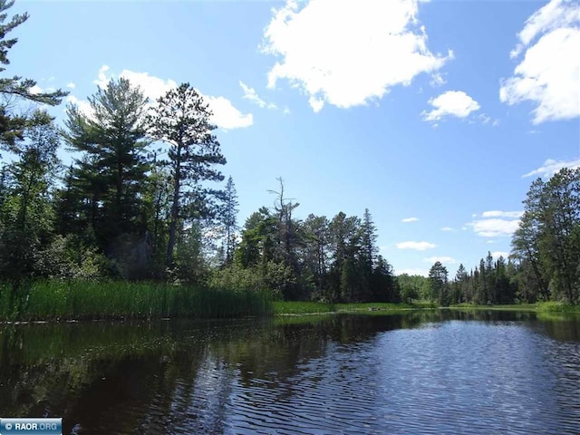 view of water feature