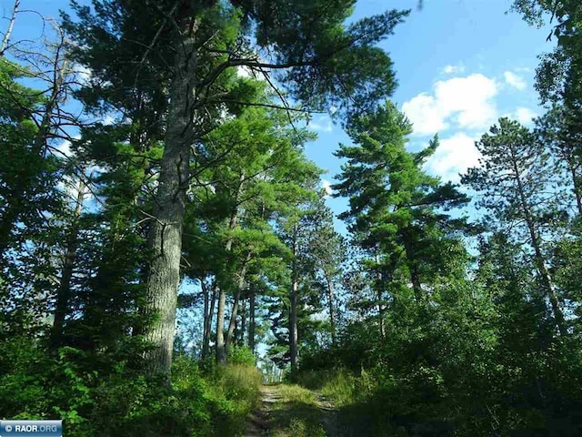 view of landscape