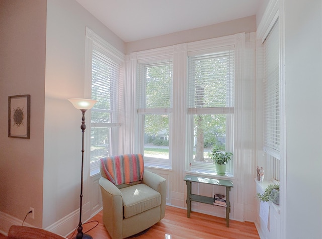 sitting room featuring light wood-type flooring