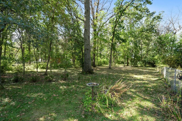 2894 115th Ave, Greenbush Twp, MN 55371 - view of yard