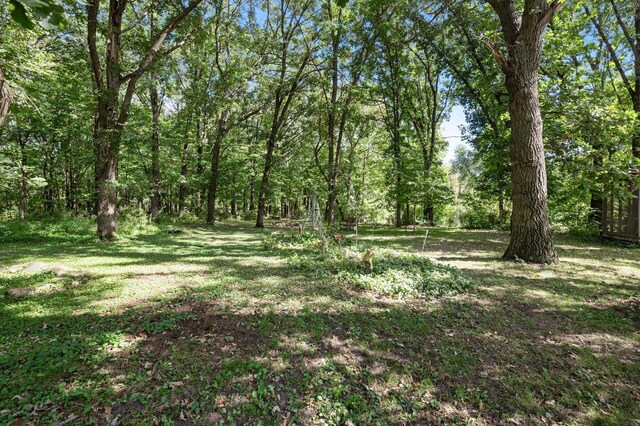2894 115th Ave, Greenbush Twp, MN 55371 - view of local wilderness