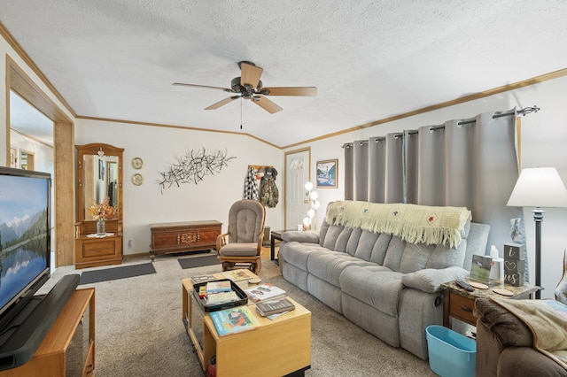2894 115th Ave, Greenbush Twp, MN 55371 - carpeted living room with ornamental molding, a ceiling fan, and a textured ceiling
