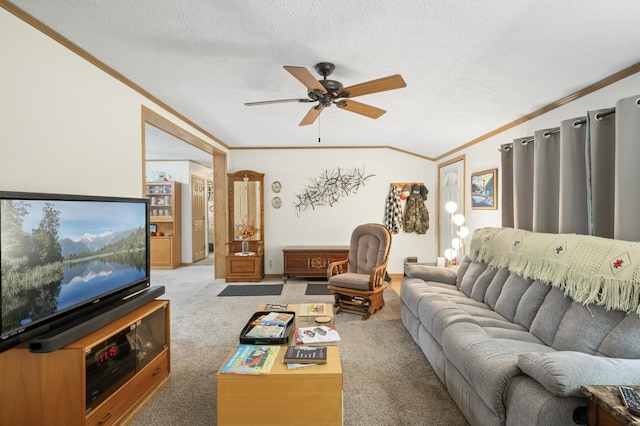 2894 115th Ave, Greenbush Twp, MN 55371 - living room with crown molding, ceiling fan, light carpet, and a textured ceiling