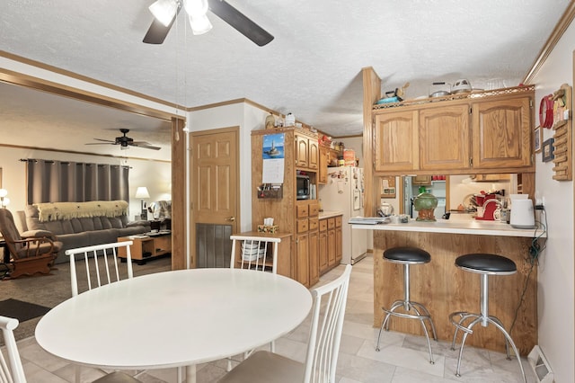 2894 115th Ave, Greenbush Twp, MN 55371 - dining area with ceiling fan, a textured ceiling, and crown molding