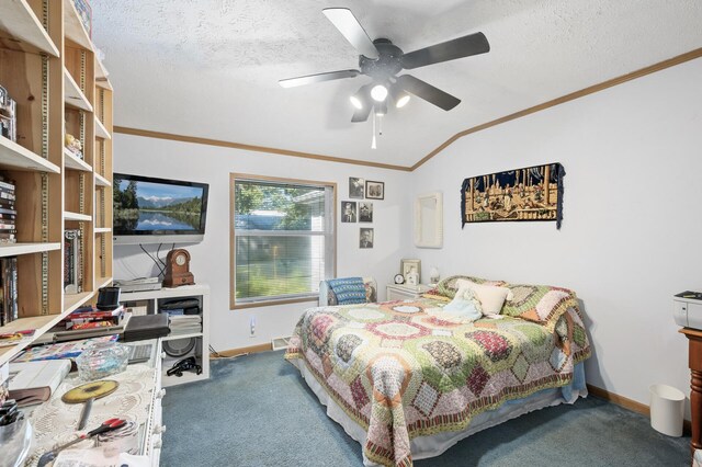 2894 115th Ave, Greenbush Twp, MN 55371 - bedroom featuring ornamental molding, vaulted ceiling, carpet floors, baseboards, and a textured ceiling