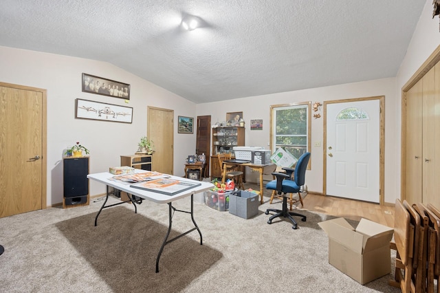 2894 115th Ave, Greenbush Twp, MN 55371 - home office with vaulted ceiling, a textured ceiling, and carpet flooring