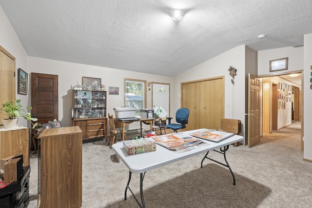 2894 115th Ave, Greenbush Twp, MN 55371 - office area featuring light colored carpet, lofted ceiling, and a textured ceiling