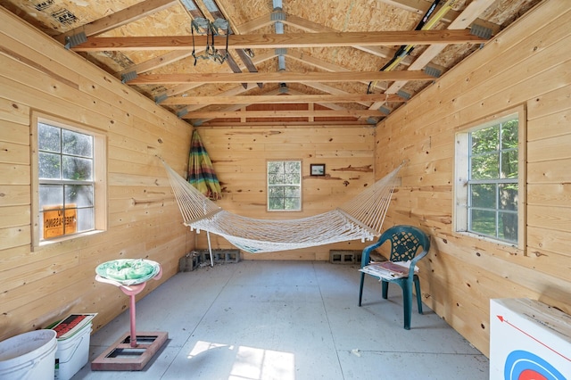 2894 115th Ave, Greenbush Twp, MN 55371 - unfurnished bedroom featuring multiple windows and wood walls