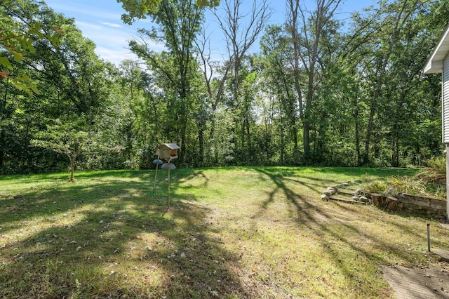 2894 115th Ave, Greenbush Twp, MN 55371 - view of grassy yard