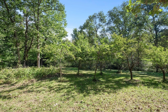 2894 115th Ave, Greenbush Twp, MN 55371 - view of green lawn
