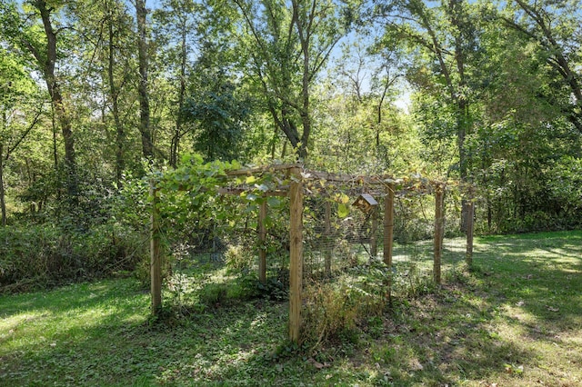 2894 115th Ave, Greenbush Twp, MN 55371 - view of green lawn with a wooded view