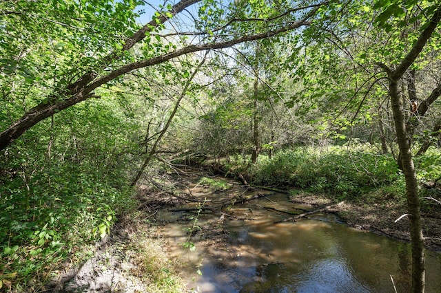 2894 115th Ave, Greenbush Twp, MN 55371 - view of wooded area