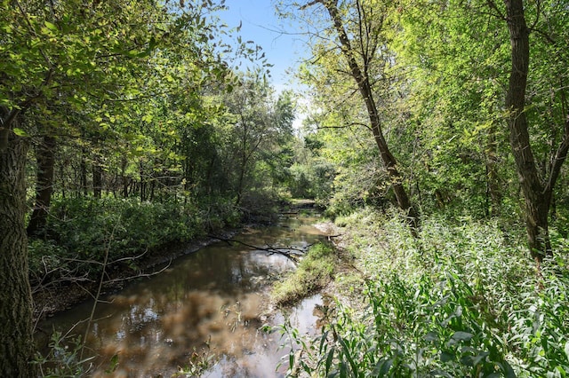 2894 115th Ave, Greenbush Twp, MN 55371 - view of wooded area