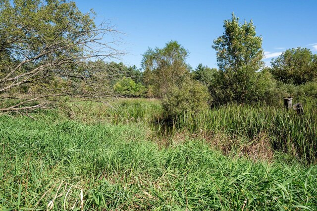 2894 115th Ave, Greenbush Twp, MN 55371 - view of nature