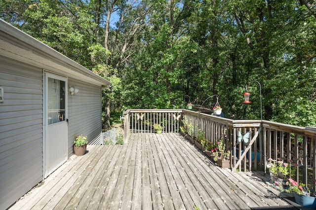 2894 115th Ave, Greenbush Twp, MN 55371 - view of deck