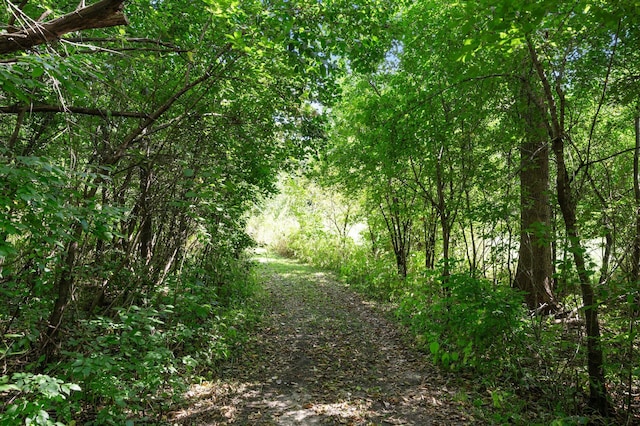 2894 115th Ave, Greenbush Twp, MN 55371 - view of tree filled area