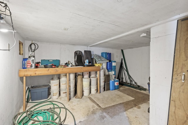 2894 115th Ave, Greenbush Twp, MN 55371 - view of below grade area
