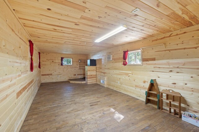 2894 115th Ave, Greenbush Twp, MN 55371 - bonus room with wooden walls, wood ceiling, and wood-type flooring