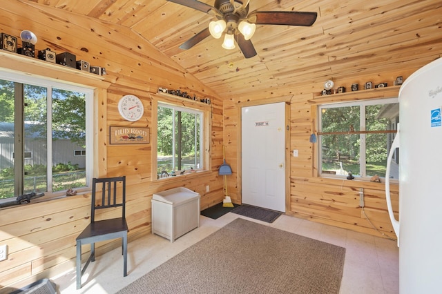 2894 115th Ave, Greenbush Twp, MN 55371 - interior space featuring vaulted ceiling