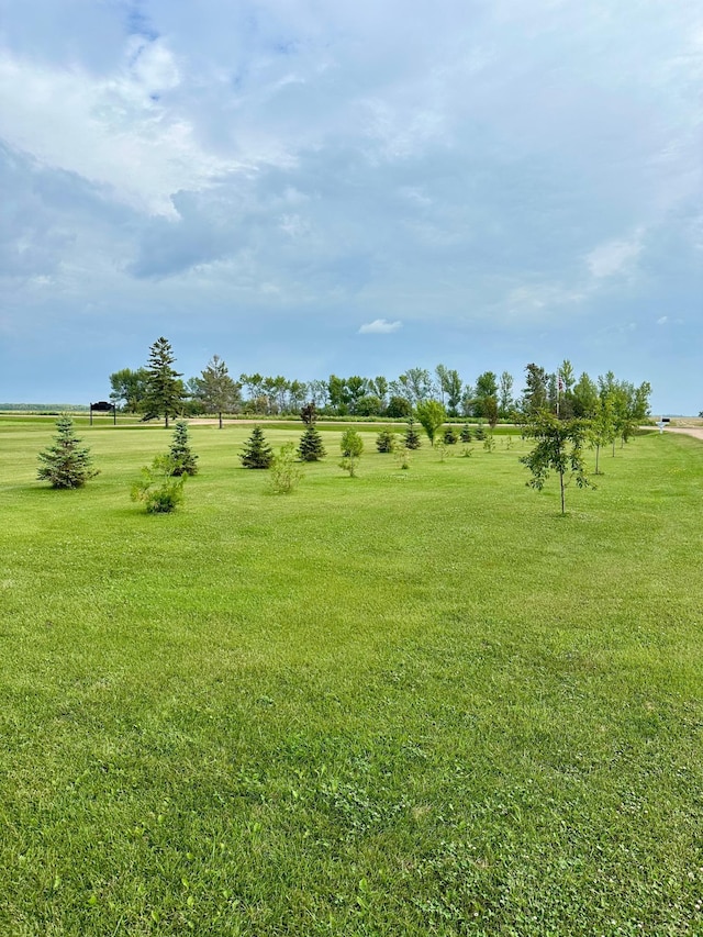 view of yard with a rural view